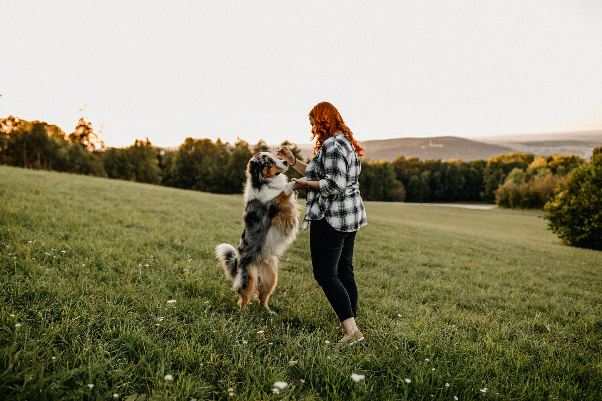 Lucky Photography Anne Schütz Hundefotografie Saalfeld Ilmenau Thüringen -34